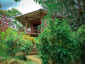 Vishmitha Tree House